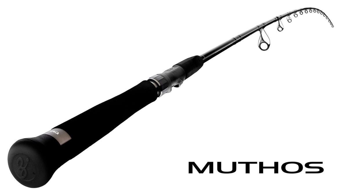 rod_main_2024_mut.jpg
