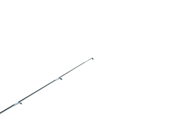 Tailwalk Ajist TZ ['24 Model]