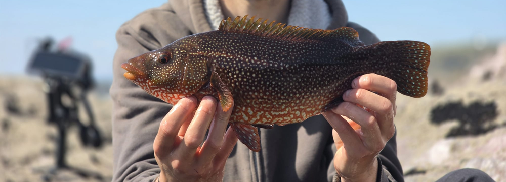Art of Fishing — Wrasse Rods hero