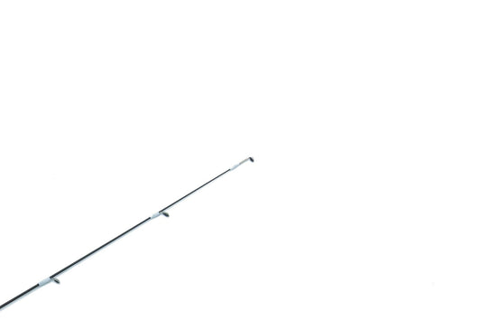 Ajist TZ'24 S66/SL