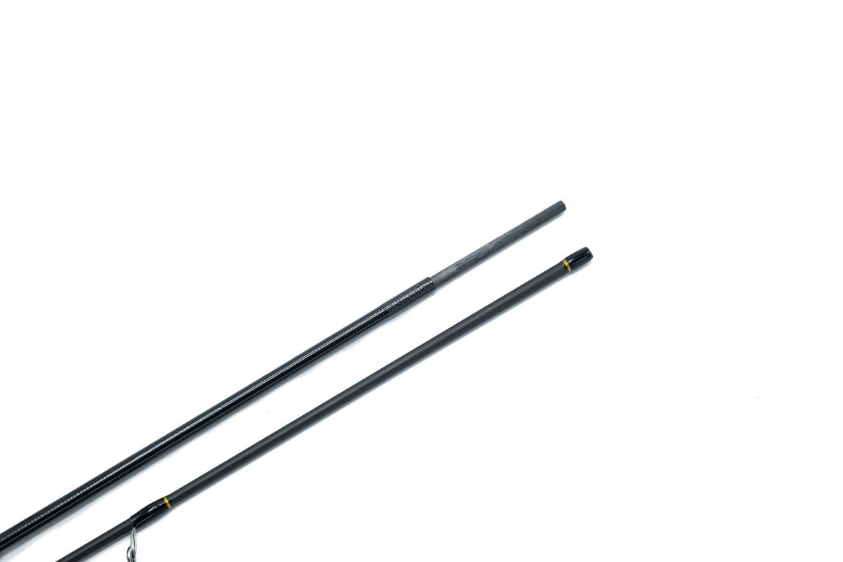 Ajist TZ'24 S66/SL