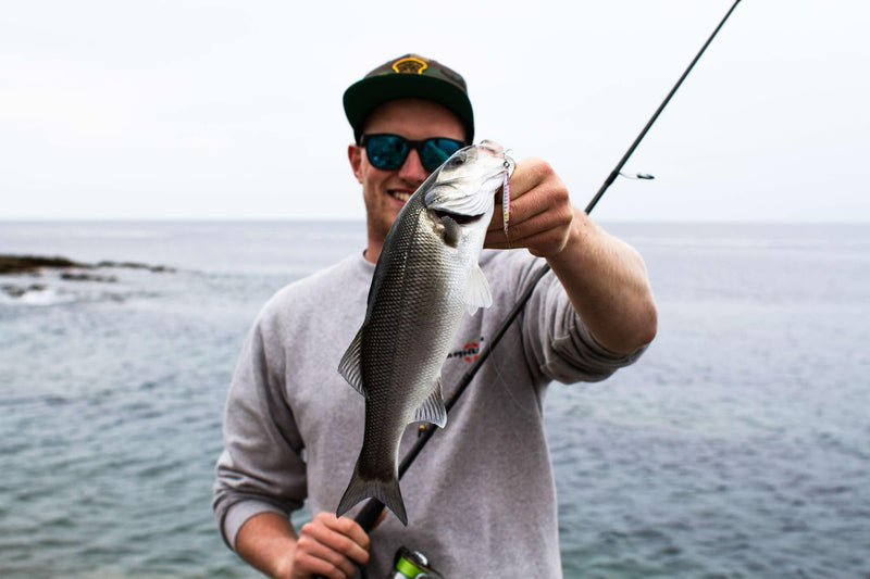 John Wheeler