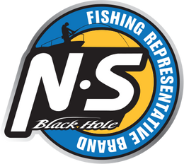NS Black Hole