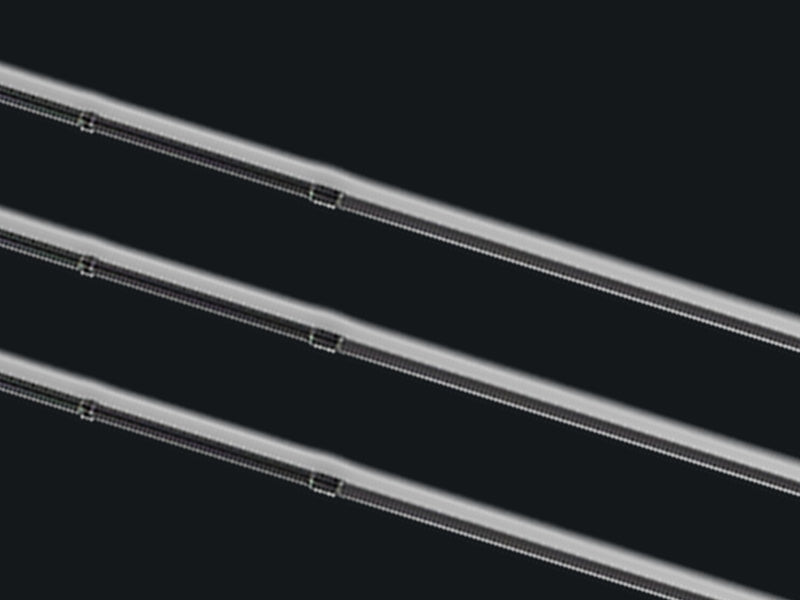 tailwalk silverna lago rods