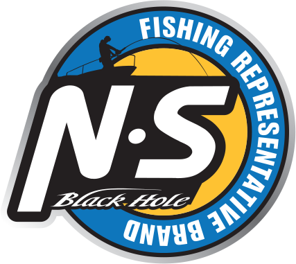 NS Black Hole