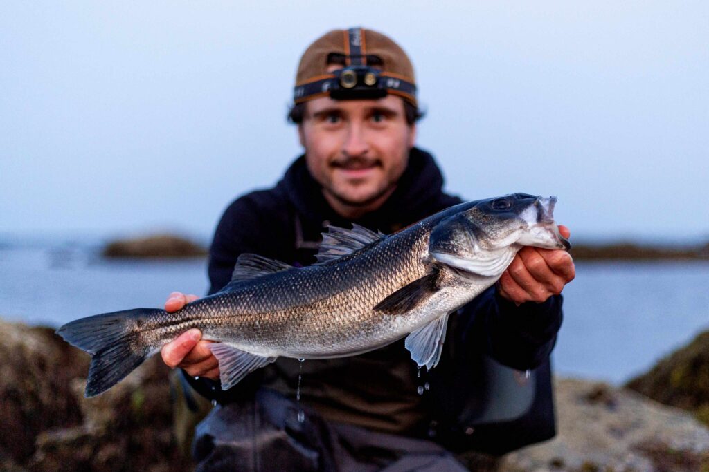 074bcad8 8c4f 460b 8e3f fc2daad10211