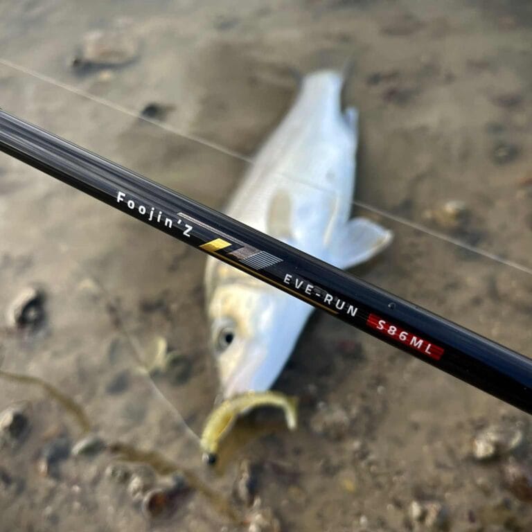 584550870 1413496900785131 8911061345408033462 n