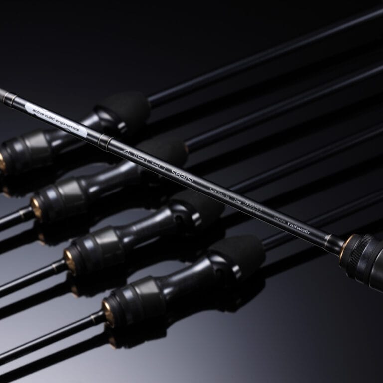 595227024 1430735632394591 7661242904303615734 n